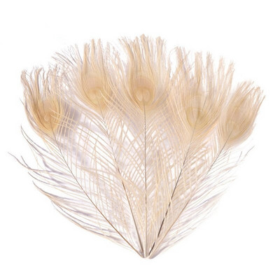 10 kom/lot obojeno ružino paunovo perje za rukotvorine 25-30 cm 10-12 inča paunovo perje za izradu nakita Ukrasno perje od šljive