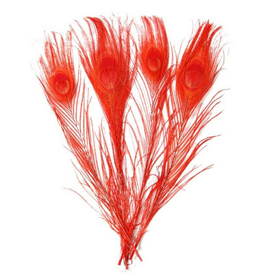 10 kom/lot obojeno ružino paunovo perje za rukotvorine 25-30 cm 10-12 inča paunovo perje za izradu nakita Ukrasno perje od šljive