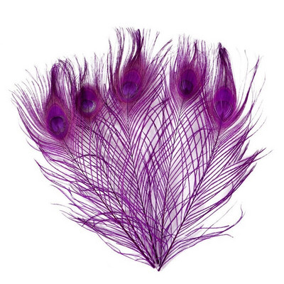 10 kom/lot obojeno ružino paunovo perje za rukotvorine 25-30 cm 10-12 inča paunovo perje za izradu nakita Ukrasno perje od šljive