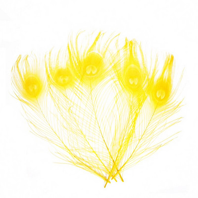 10 kom/lot obojeno ružino paunovo perje za rukotvorine 25-30 cm 10-12 inča paunovo perje za izradu nakita Ukrasno perje od šljive