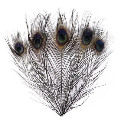 10 kom/lot obojeno ružino paunovo perje za rukotvorine 25-30 cm 10-12 inča paunovo perje za izradu nakita Ukrasno perje od šljive