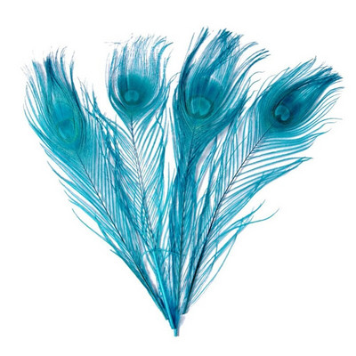 10 kom/lot obojeno ružino paunovo perje za rukotvorine 25-30 cm 10-12 inča paunovo perje za izradu nakita Ukrasno perje od šljive