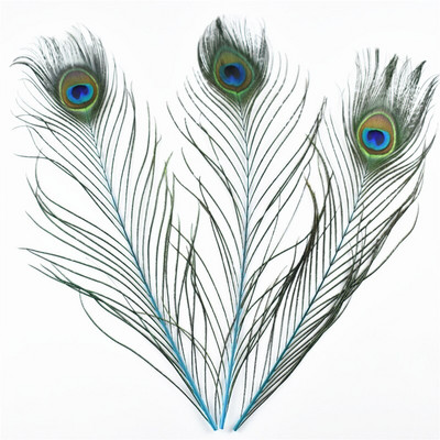 10 kom/lot obojeno ružino paunovo perje za rukotvorine 25-30 cm 10-12 inča paunovo perje za izradu nakita Ukrasno perje od šljive