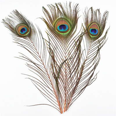 10 kom/lot obojeno ružino paunovo perje za rukotvorine 25-30 cm 10-12 inča paunovo perje za izradu nakita Ukrasno perje od šljive