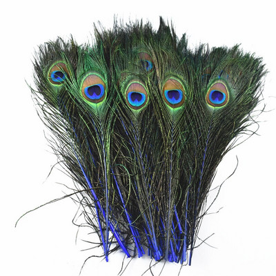 10 kom/lot obojeno ružino paunovo perje za rukotvorine 25-30 cm 10-12 inča paunovo perje za izradu nakita Ukrasno perje od šljive