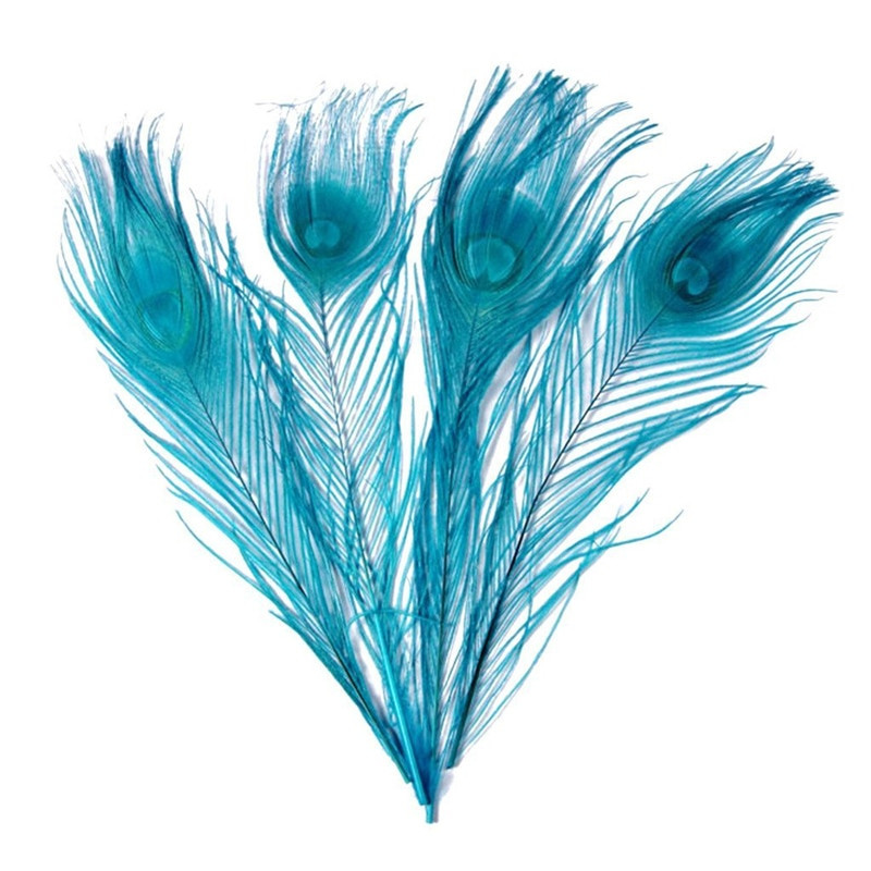 10 kom/lot obojeno ružino paunovo perje za rukotvorine 25-30 cm 10-12 inča paunovo perje za izradu nakita Ukrasno perje od šljive