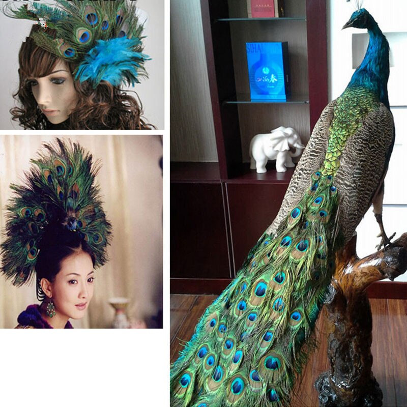 YOYUE povo plunksnos 10 vnt/sl., ilgis 25-30 cm Gražios natūralios povo plunksnos pasidaryk papuošalai Dekoratyvinės detalės