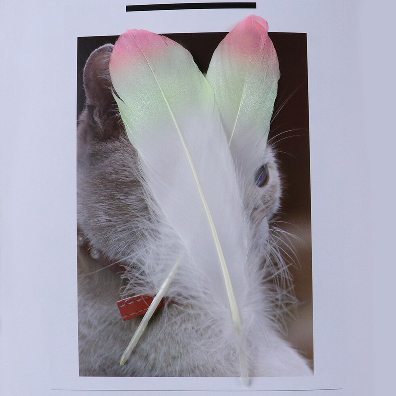 10 PCS 6-8 инча градиентни гъши пера 15-20 CM естествени пера за бижута направи си сам карнавал сватбено парти декор занаятчийски пера