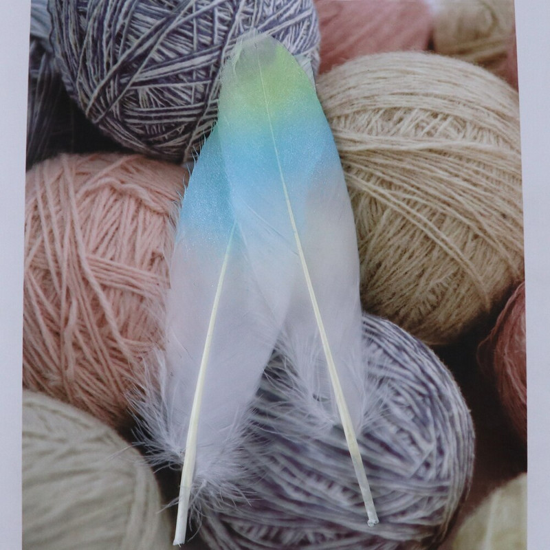 10 PCS 6-8 инча градиентни гъши пера 15-20 CM естествени пера за бижута направи си сам карнавал сватбено парти декор занаятчийски пера