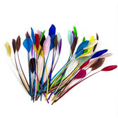 100 KOM prirodno tvrdo guščje perje 15-20 cm labudovo perje za DIY šešir Nakit Vijenac Rukotvorine Ukrasite Dodaci