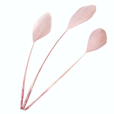 100 KOM prirodno tvrdo guščje perje 15-20 cm labudovo perje za DIY šešir Nakit Vijenac Rukotvorine Ukrasite Dodaci