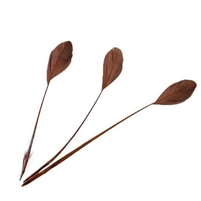 100 KOM prirodno tvrdo guščje perje 15-20 cm labudovo perje za DIY šešir Nakit Vijenac Rukotvorine Ukrasite Dodaci