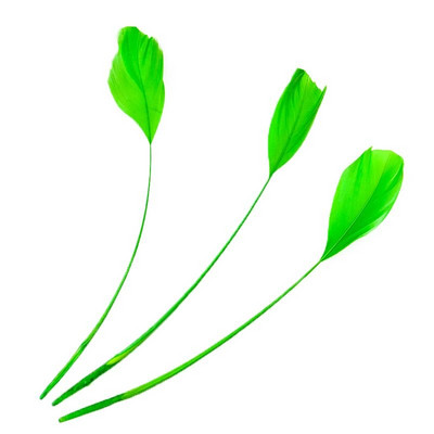 100 KOM prirodno tvrdo guščje perje 15-20 cm labudovo perje za DIY šešir Nakit Vijenac Rukotvorine Ukrasite Dodaci