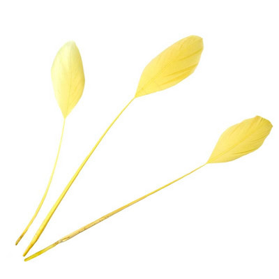 100 KOM prirodno tvrdo guščje perje 15-20 cm labudovo perje za DIY šešir Nakit Vijenac Rukotvorine Ukrasite Dodaci