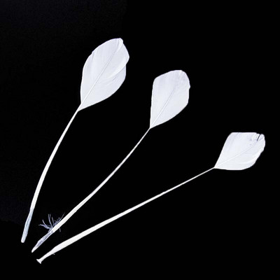 100 KOM prirodno tvrdo guščje perje 15-20 cm labudovo perje za DIY šešir Nakit Vijenac Rukotvorine Ukrasite Dodaci