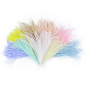 100 vnt./partija Natūralios stručio plunksnos „pasidaryk pats“ Plaukų plunksnos šilko auskarai Papuošalų gaminimo aksesuarai Dekoratyviniai amatai iš plunksnų 10-18cm