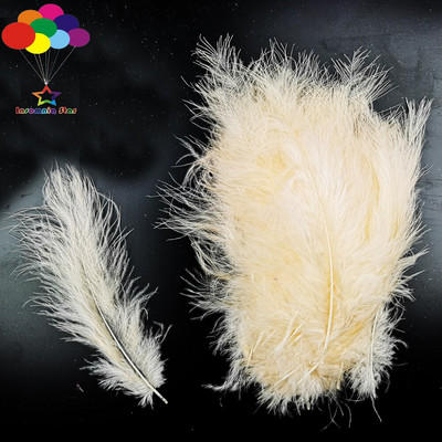Сиви Macarons Color Turkey Feathers 100 Pcs Diy Fluff Imported for Wave Ball Gift Box Материал Dream Catcher Material