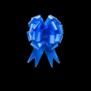 10 kom/set Mašna za povlačenje Poklon vrpce Omotači cvijeća za vjenčanja Ukrasi za sretan rođendan Poklon kutije za Majčin dan Pokloni