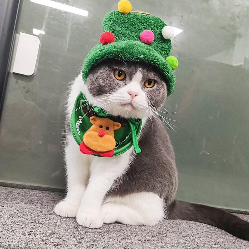 Коледна шапка за домашен любимец Сладка рога слюнка Хавлиена кърпа за куче Котка Комплекти за шапки Прекрасни аксесоари за домашни любимци Коледна украса