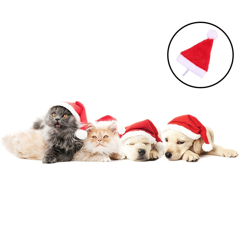 1P Armas lemmiklooma jõulumüts Väikesed loomad Kass Koer Jõuluvana Müts Uusaasta Xmas Cosplay Kodupeol Lemmiklooma kostüümi kaunistustarbed