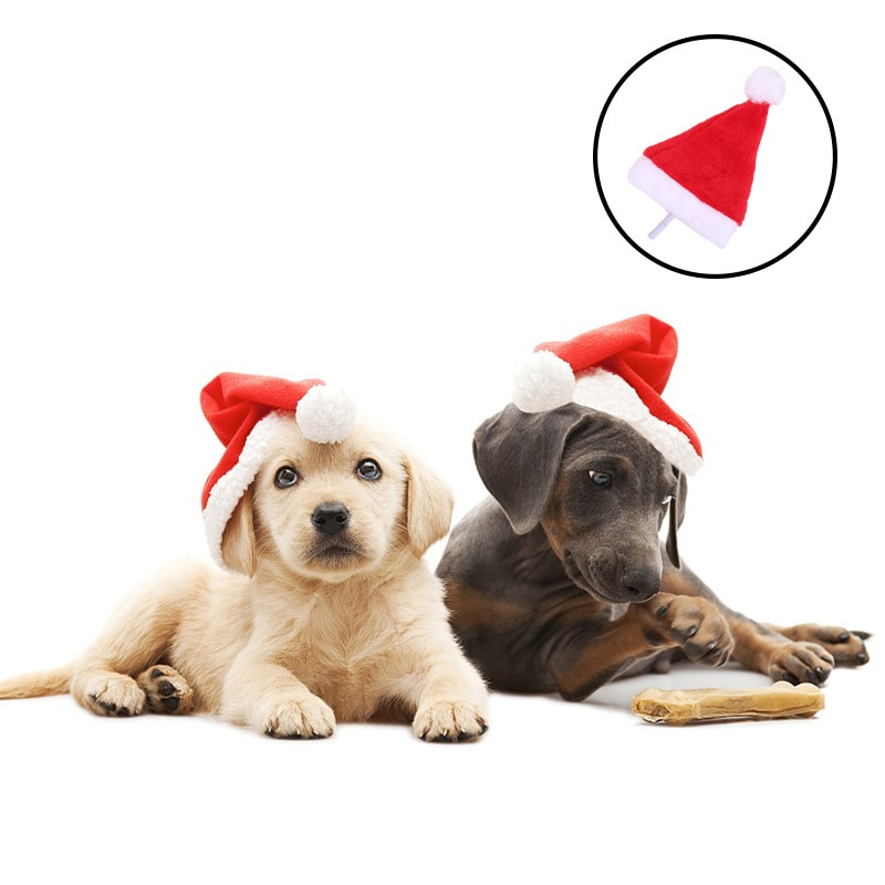 1P Armas lemmiklooma jõulumüts Väikesed loomad Kass Koer Jõuluvana Müts Uusaasta Xmas Cosplay Kodupeol Lemmiklooma kostüümi kaunistustarbed