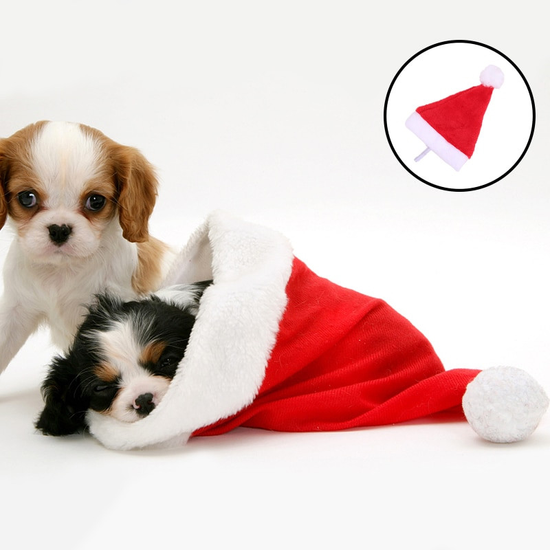 1P Armas lemmiklooma jõulumüts Väikesed loomad Kass Koer Jõuluvana Müts Uusaasta Xmas Cosplay Kodupeol Lemmiklooma kostüümi kaunistustarbed
