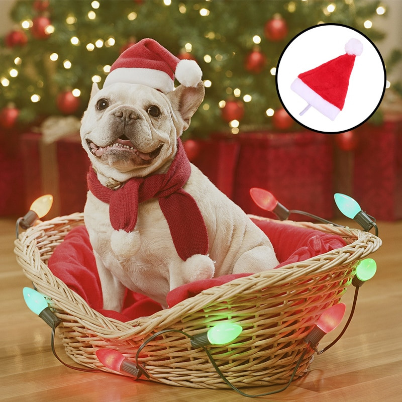 1P Armas lemmiklooma jõulumüts Väikesed loomad Kass Koer Jõuluvana Müts Uusaasta Xmas Cosplay Kodupeol Lemmiklooma kostüümi kaunistustarbed