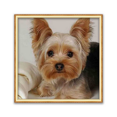 Animal Yorkshire Terrier Broderie bricolaj 11CT Seturi cu punct de cruce Set de cuci artizanale Ață de bumbac Pânză imprimată Decorare pentru casă