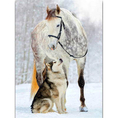 Animal câine husky bricolaj 11CT truse de broderie cu punct de cruce Set de cuci artizanale pânză imprimată fir de bumbac acasă Dropshipping