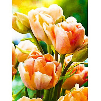Flower Landscape Tulip Printed Canvas 11CT Cross-Stitch Комплект за бродерия Направи си сам Ръчна изработка Хоби Ръчна изработка Картина Floss Design Gift