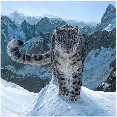 Božićna kuglica sa snijegom DIY 11CT setovi za vezenje križićima Set za ručni rad Dizajn s otisnutim platnom od pamučnog konca