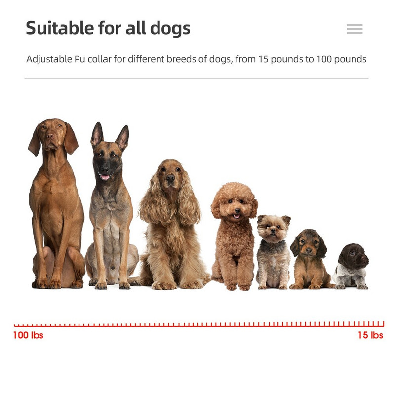 1000 m veekindel koera treenimisrihm lemmiklooma kaugjuhtimispuldiga koera kaelarihm põrutusvastase haukumisvastase vibratsiooni heliga elektrišoker