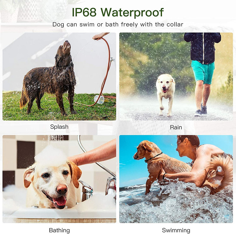 Šunų dresavimo antkaklis Elektroninis šunų amortizatorius antkaklis, vibruojantis garsas, vandeniui atsparus elektrinis šunų antkaklio rinkinys visų dydžių šunims