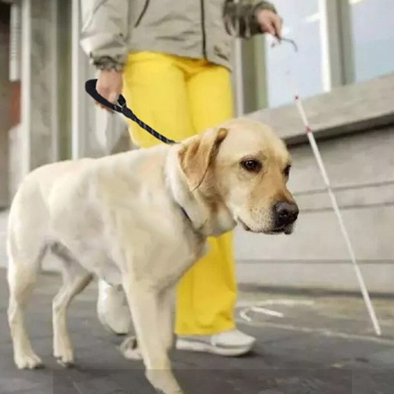 Šunų pavadėlis Šviesą atspindintys trumpi pavadėliai dideliems šunims vaikščioti Sprogimui atspari šunų vedžioklė Minkšta rankena dideliems šunims pavadėliai naminių gyvūnėlių reikmenys