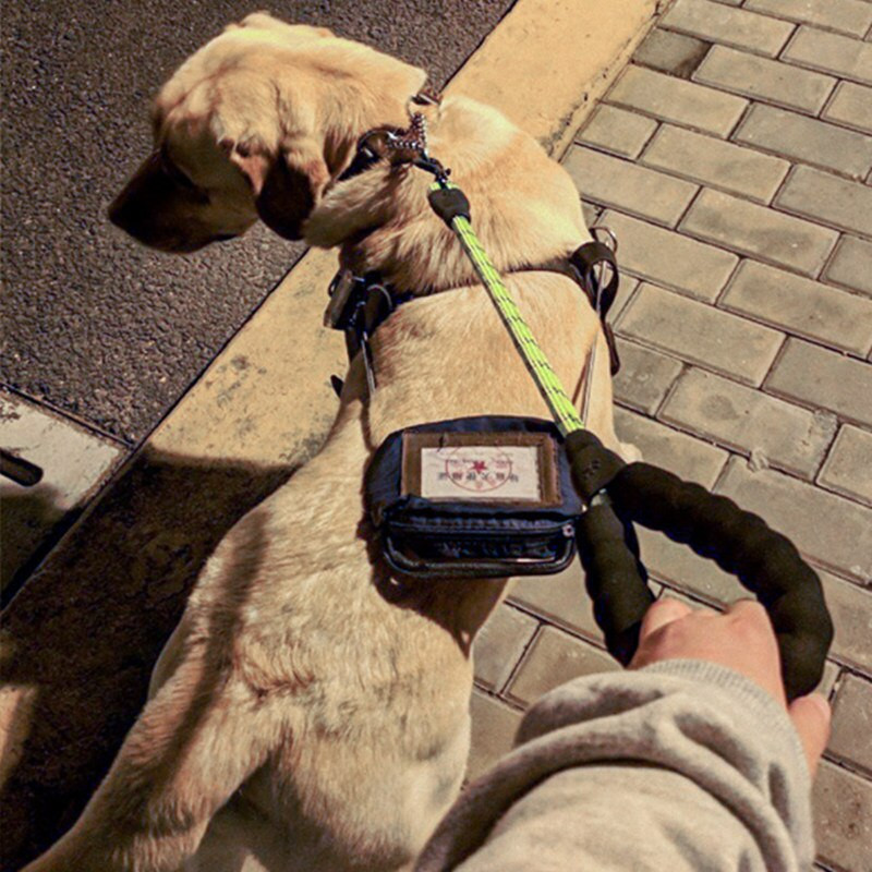 Šunų pavadėlis Šviesą atspindintys trumpi pavadėliai dideliems šunims vaikščioti Sprogimui atspari šunų vedžioklė Minkšta rankena dideliems šunims pavadėliai naminių gyvūnėlių reikmenys