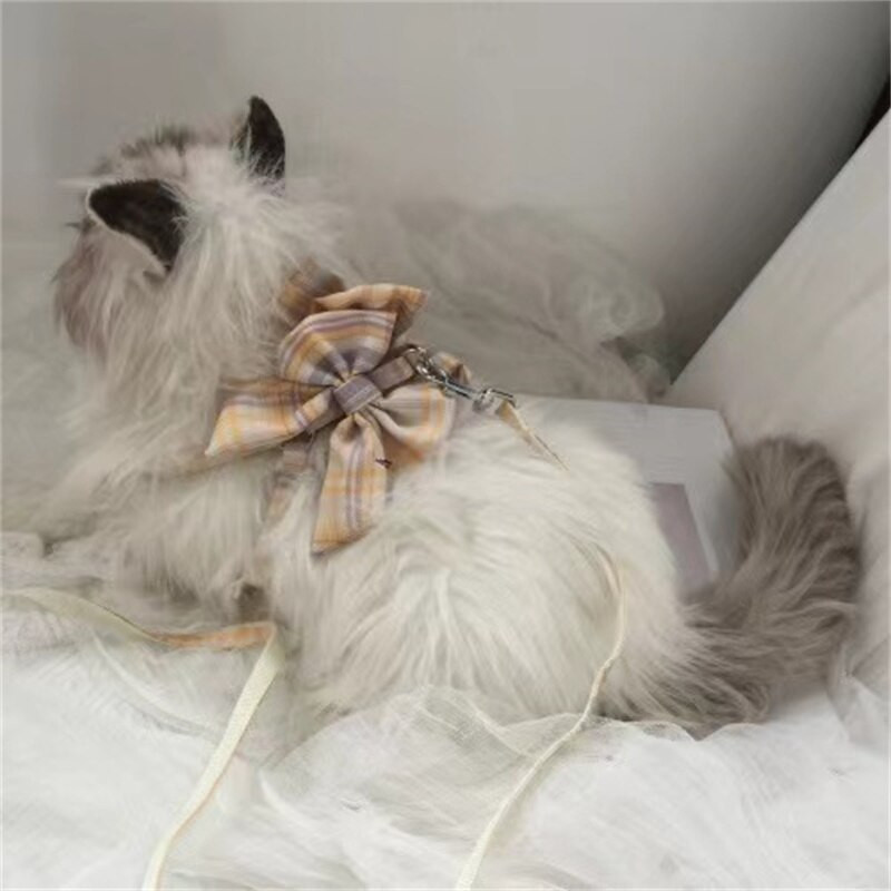 Vestă pentru câini de talie mică, frânghie de tracțiune, ham pentru cățeluș, hamuri pentru pisici de companie, guler pentru câini, curea drăguță, respirabil, pentru animale de companie, Yorkshire