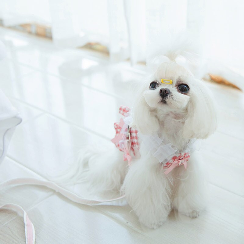 Remen za prsa za kućne ljubimce Srednji mali pas Oprtač slatka Princess Dress set povodaca za mačke Podesivi sigurnosni pojasevi Slatka ogrlica Chihuahua Pudlica