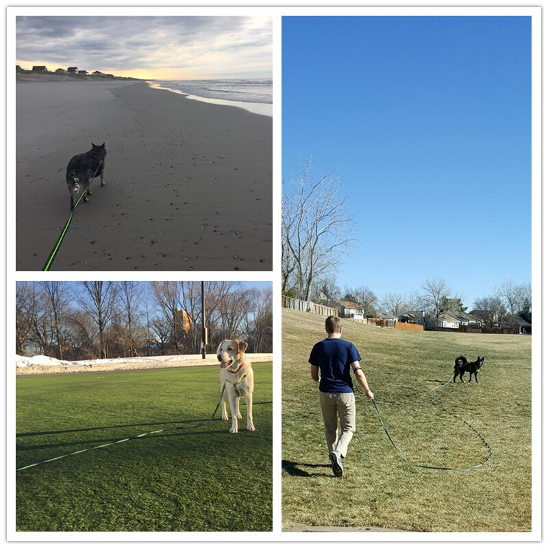 Benepaw Tvirtas ilgas šuns dresavimo pavadėlis, kokybiškas neslidus dizainas, patogi paminkštinta rankena, naminio gyvūnėlio pavadėlis 1,8 m / 3 m / 5 m / 10 m / 15 m