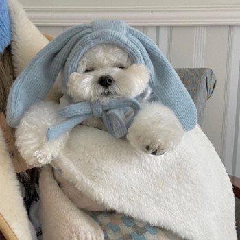 Ρούχα για μικρό σκύλο Χειμερινό φθινοπωρινό ζεστό φόρεμα Κουτάβι Πριγκίπισσα Φούστα Γλυκό γιλέκο Γάτα Μόδα Κοστούμι Χαριτωμένο καπέλο Yorkie Chihuahua Poodle