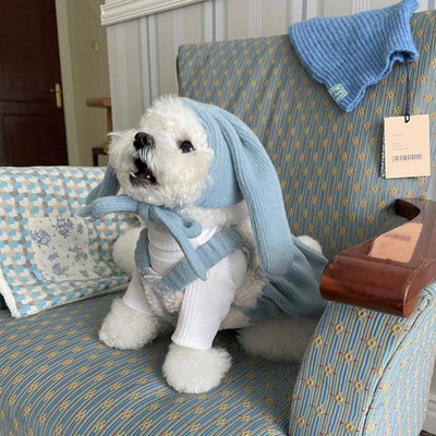 Väike Koer Riided Talv Sügis Soe Kleit Kutsikas Printsess Seelik Armas Vest Kassi Moe Kostüüm Armas Müts Yorkie Chihuahua Puudel