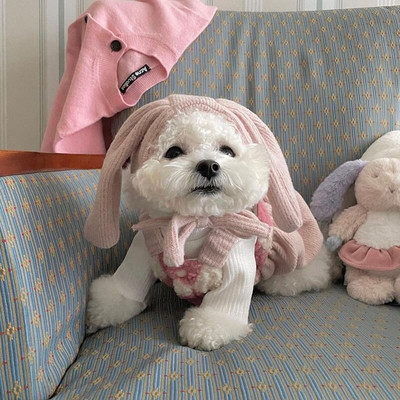 Väike Koer Riided Talv Sügis Soe Kleit Kutsikas Printsess Seelik Armas Vest Kassi Moe Kostüüm Armas Müts Yorkie Chihuahua Puudel