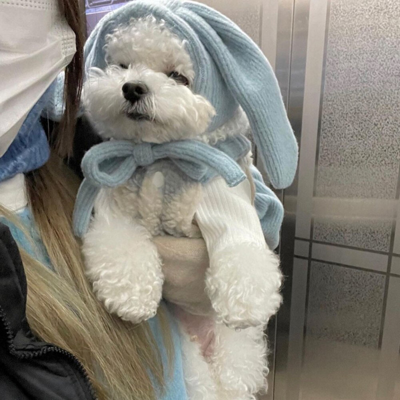 Väike Koer Riided Talv Sügis Soe Kleit Kutsikas Printsess Seelik Armas Vest Kassi Moe Kostüüm Armas Müts Yorkie Chihuahua Puudel