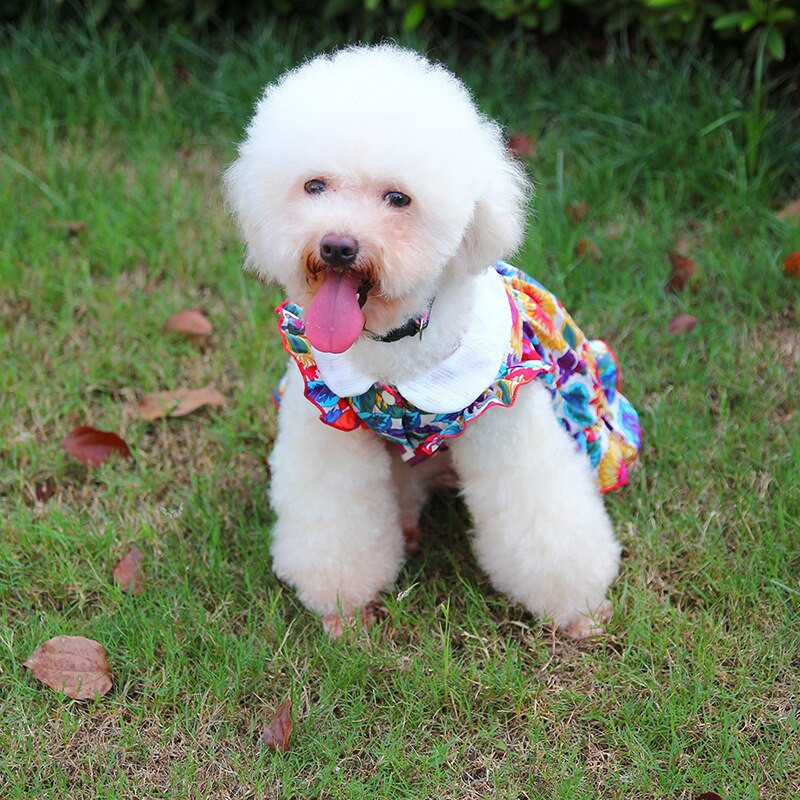 Lemmikloomariided Suvine koer õhuke hingav seelik Imeilusad lilled Printsess Kleit Kaisu Pomeranian Väikese ja keskmise koera lemmiklooma riided