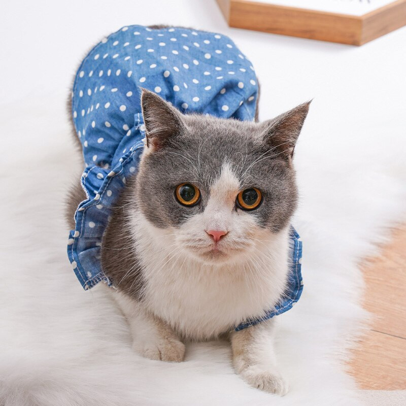 Дрехи за кучета Лятна дънкова пола с волани Рокля с висока талия Пола с принт на точки Модно дънково яке за померан бишон Теди