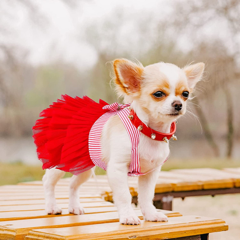 Armsad väikesed keskmised kassikoera printsessi kleidid kutsika vööri sõlme kleit lemmiklooma tutu kleidid triibulise võrguga kutsika koerte printsessi suvekleidid