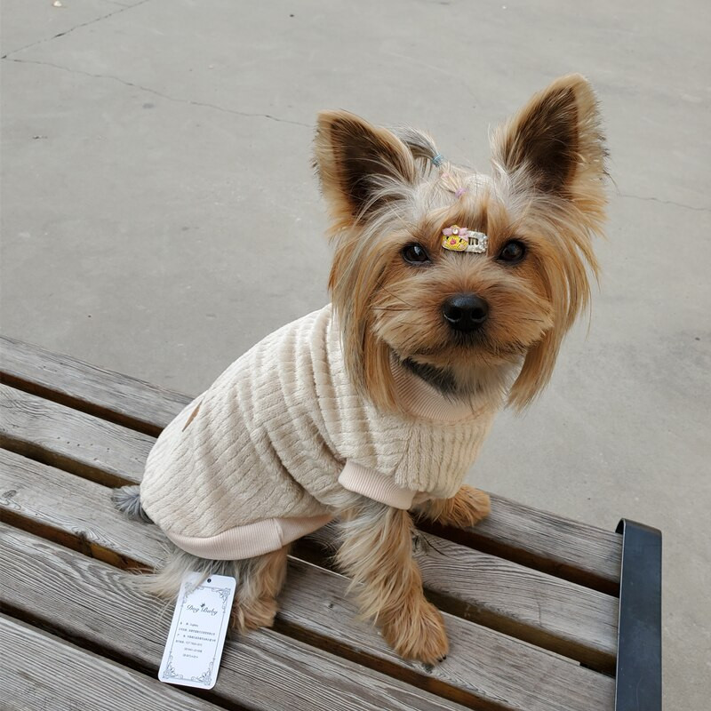 Haine pentru animale de companie Pulover de catifea Vestă caldă Mantocă pentru pisici Jachetă pentru câini mici Pulover de culoare pură Chihuahua Yorkshire Bulldog de primăvară