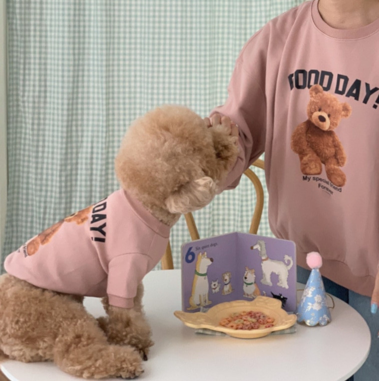 Mielas žiemos laisvalaikio apranga Bear modelio šiltas šuniuko megztinis Pudeliui Teddy Bichon Pomeranijos jorkšyro šnaucerio drabužiai mažiems šunims