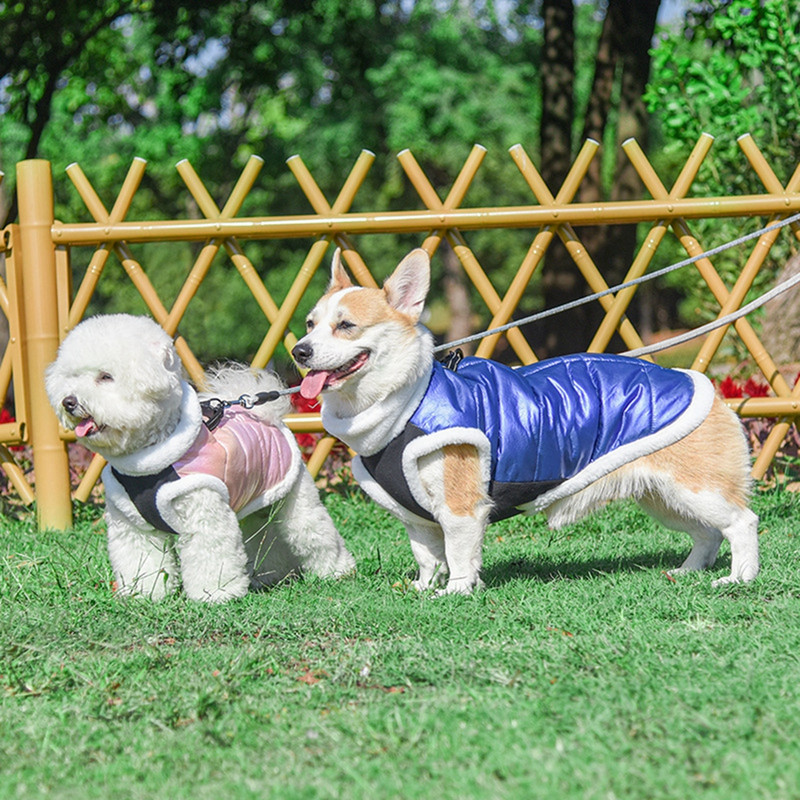 Zimska odjeća za pse Vodootporna jakna za male srednje pse, prsluk s visokim ovratnikom, topla jakna za pse, kostim, odjeća za čivavu pudlu