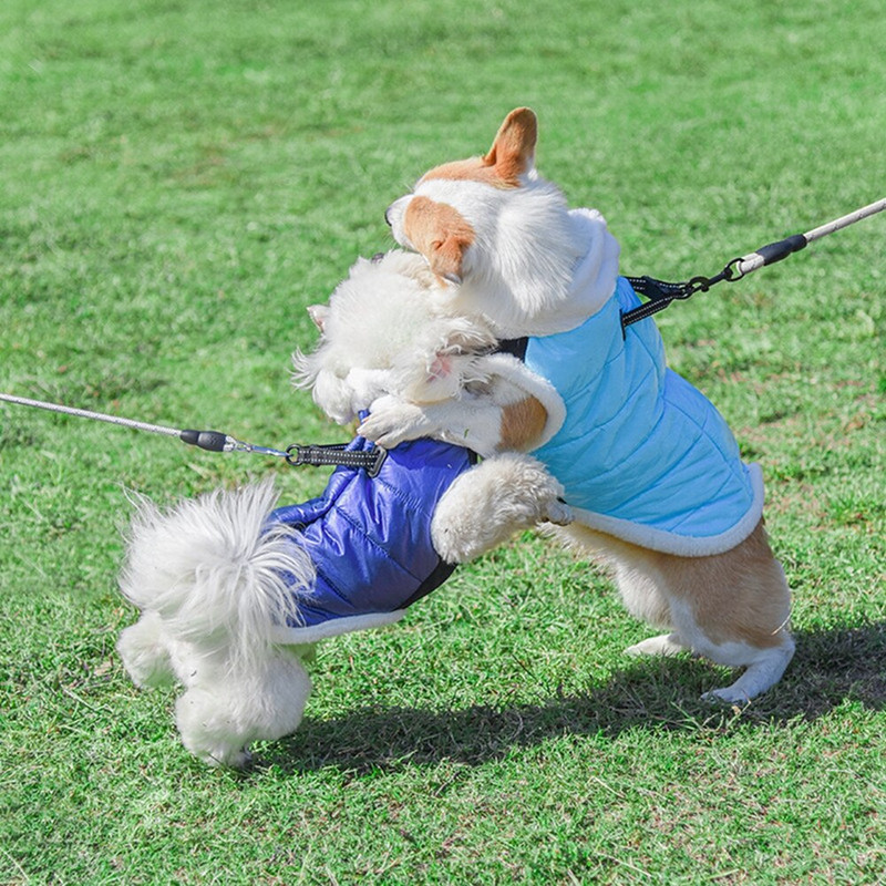 Zimska odjeća za pse Vodootporna jakna za male srednje pse, prsluk s visokim ovratnikom, topla jakna za pse, kostim, odjeća za čivavu pudlu