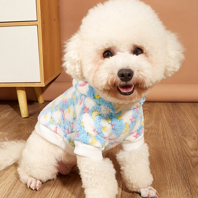 Kaput s kapuljačom za pse Zimska odjeća za kućne ljubimce Za male srednje pse Pomeranac Pulover Šnaucer Odjeća za dvije noge Topla odjeća za plišane
